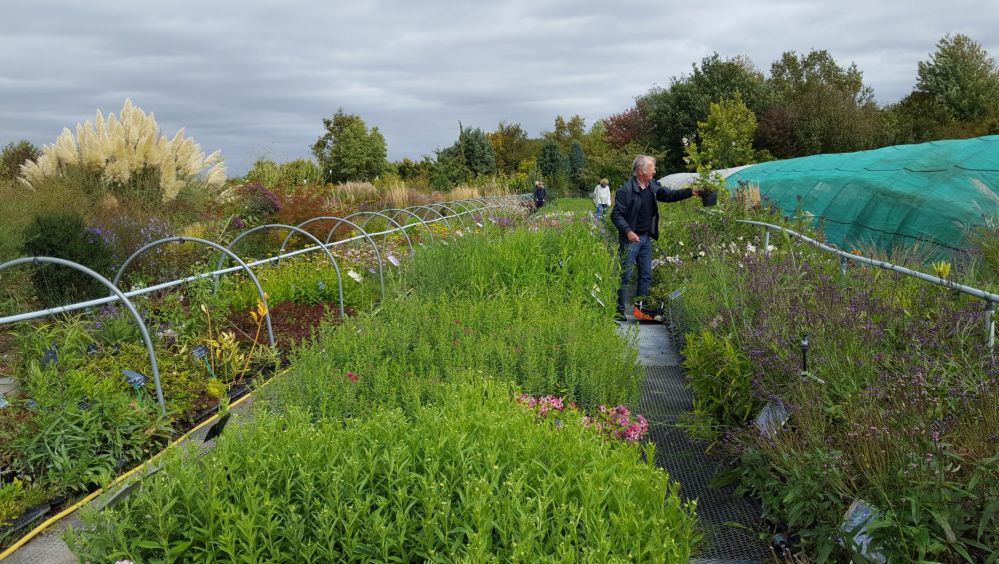 thierry delabroye exte