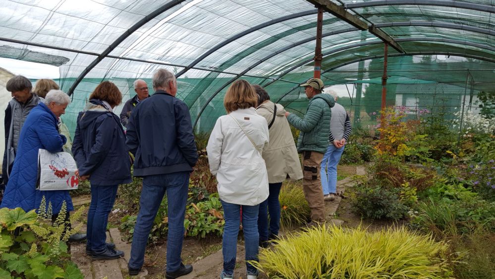 thierry delabroyer explications