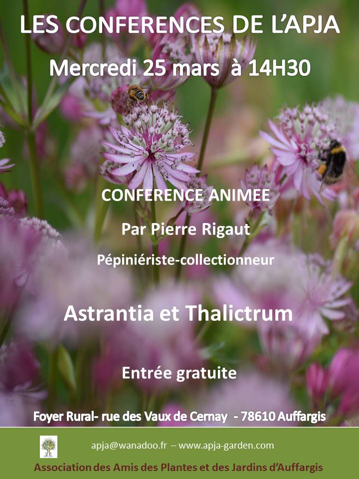 AFFICHE CONF PIERRE RIGAUT 2020 2